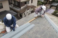 画像241