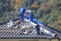 画像245